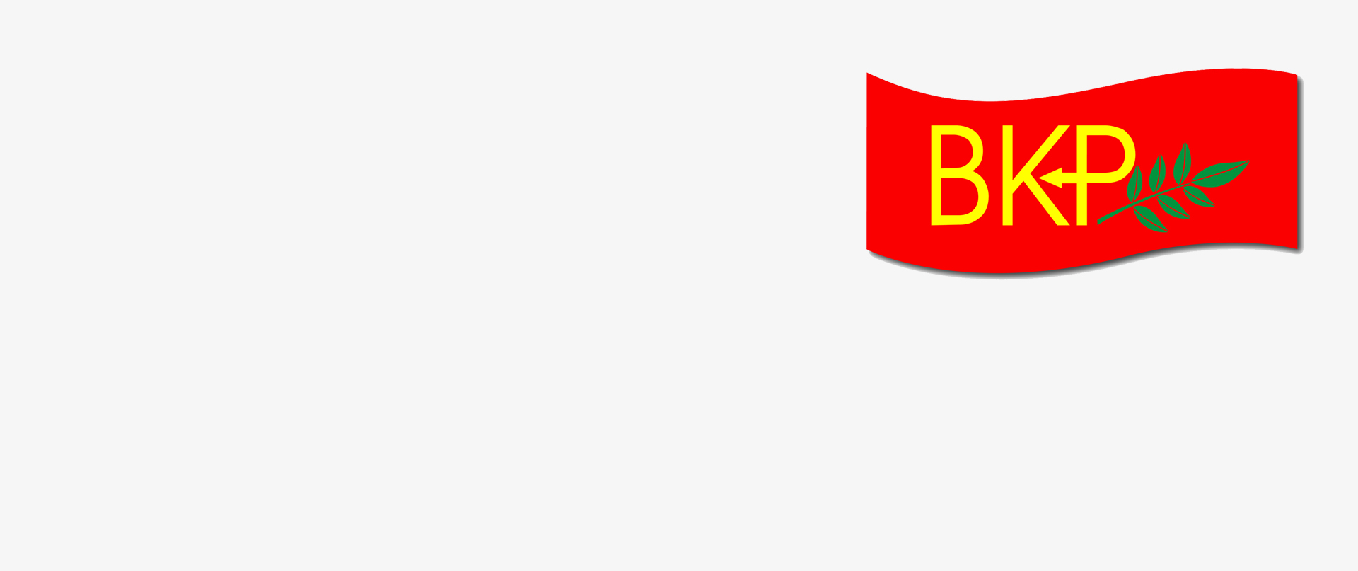 BKP MYK: Bizleri dava ederek susturamazsınız.